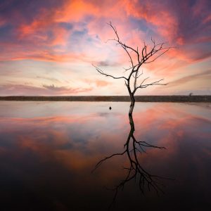 Photo Reflection Creation
