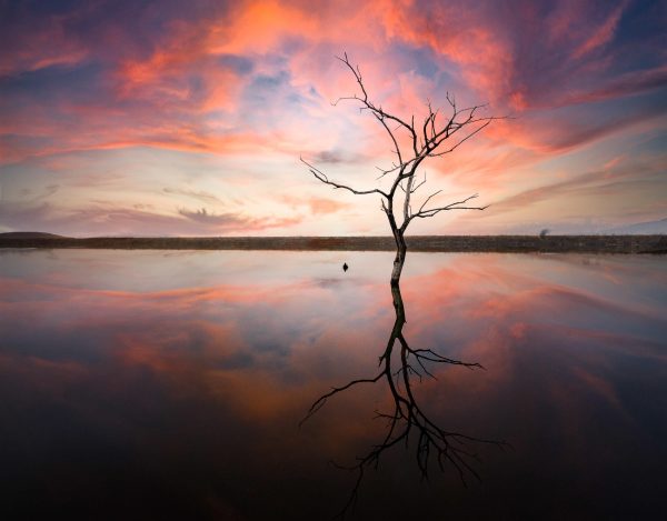 Photo Reflection Creation